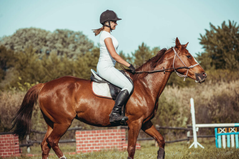 Is Horse Riding The Most Dangerous Sport?
