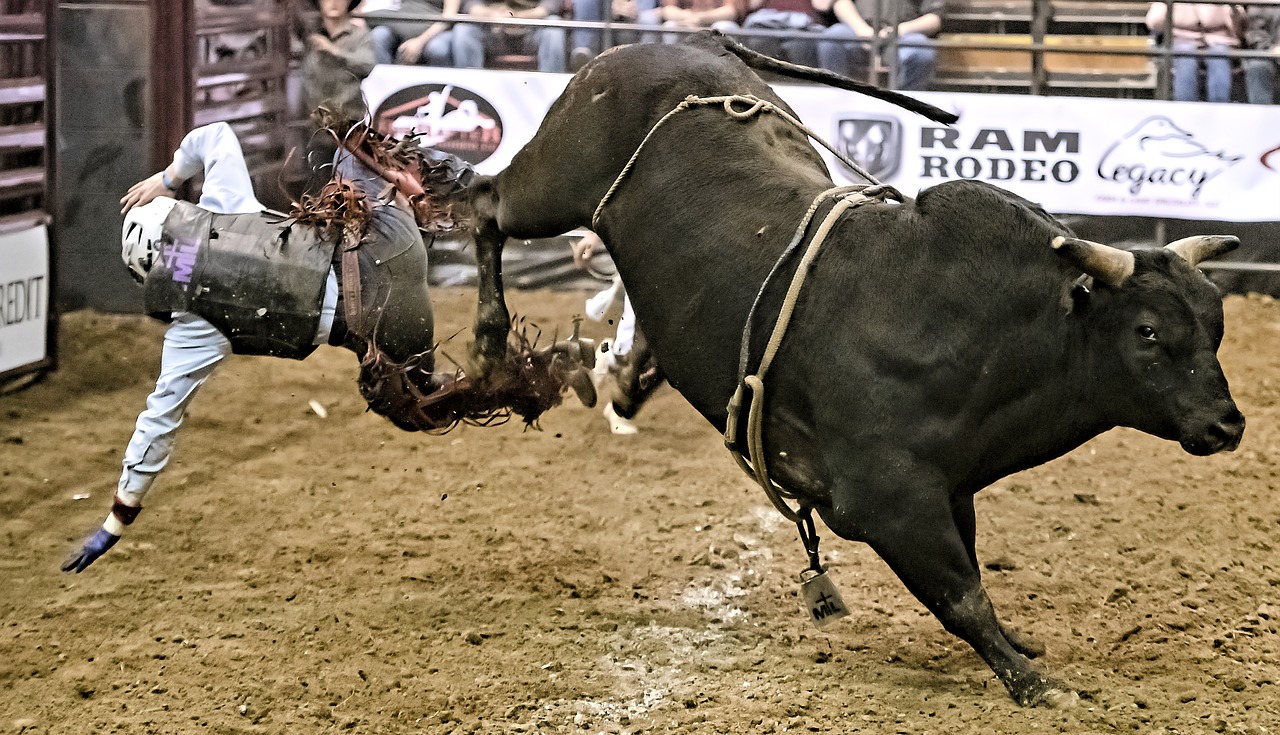 Is Bull Riding the Most Dangerous Sport?