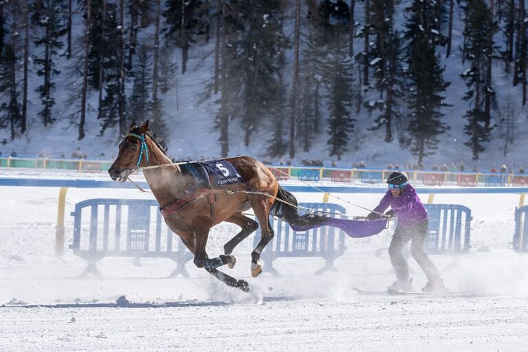 Which is More Dangerous: Skiing or Horse Riding?
